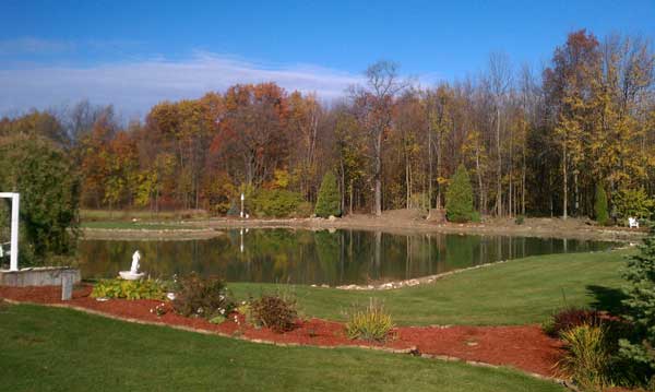 Finished Pond