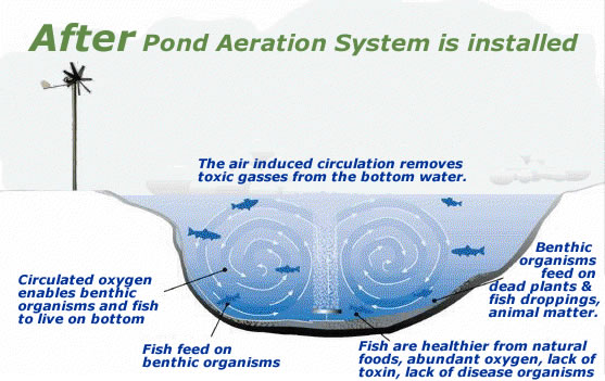 aeration pond koi aerate why winter aerators ponds before preparing lakes patio supply