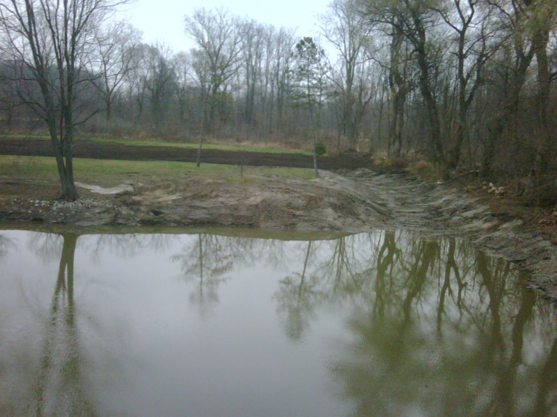 C Users Scott Pictures ponds a ponds 2010 williamston 1 williamston pond (33)