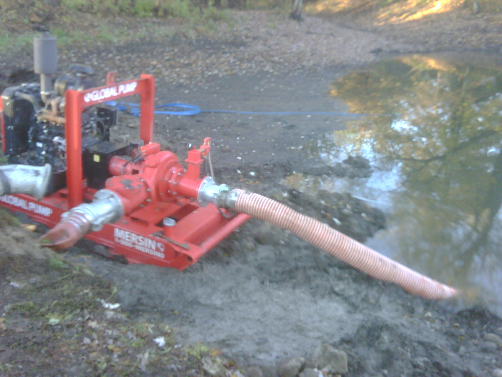 C Users Scott Pictures ponds a ponds 2010 williamston 1 williamston pond (7)