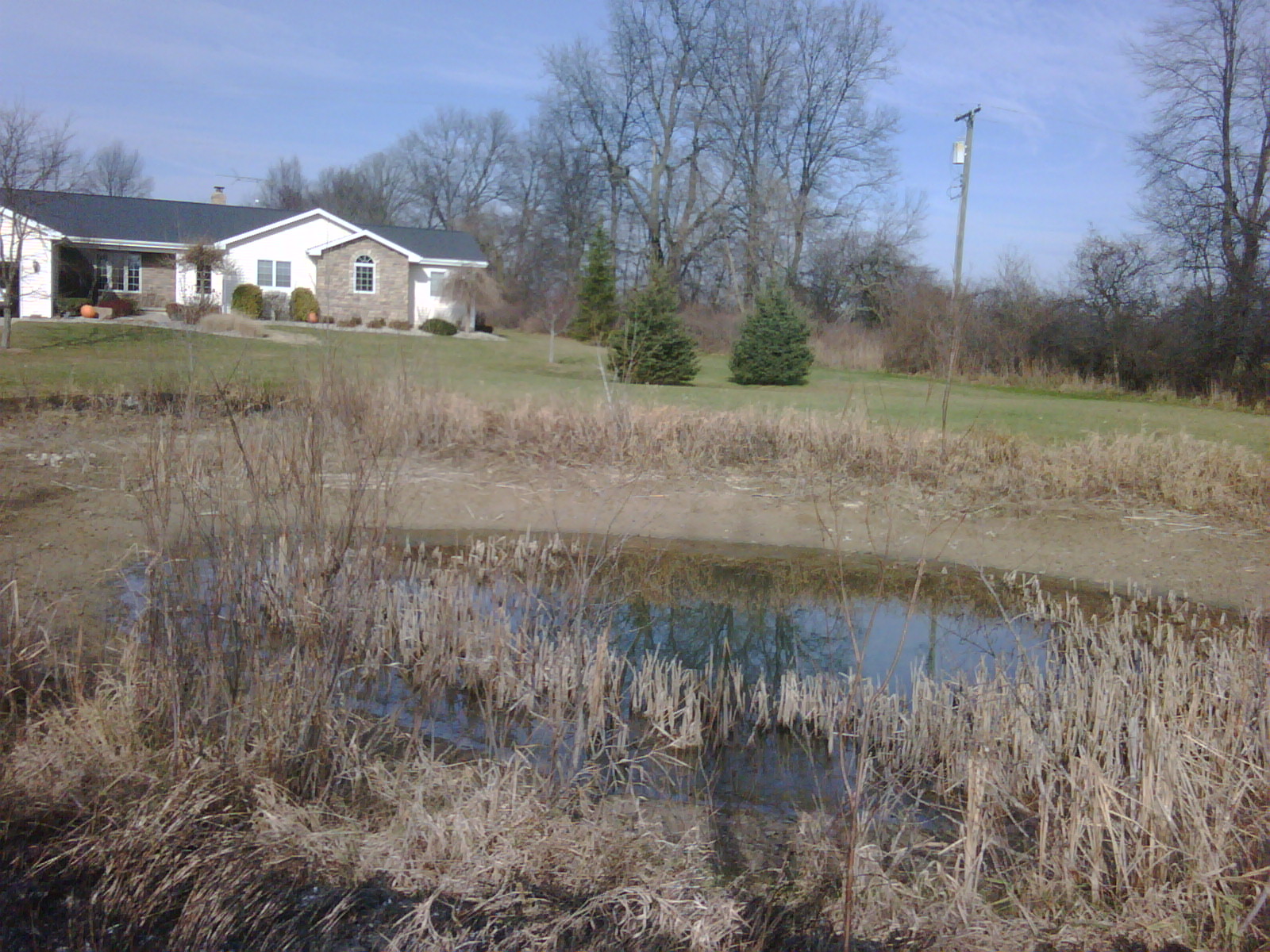 C Users Scott Pictures ponds a ponds 2010 williamston 2 williamston pond 2 (2)