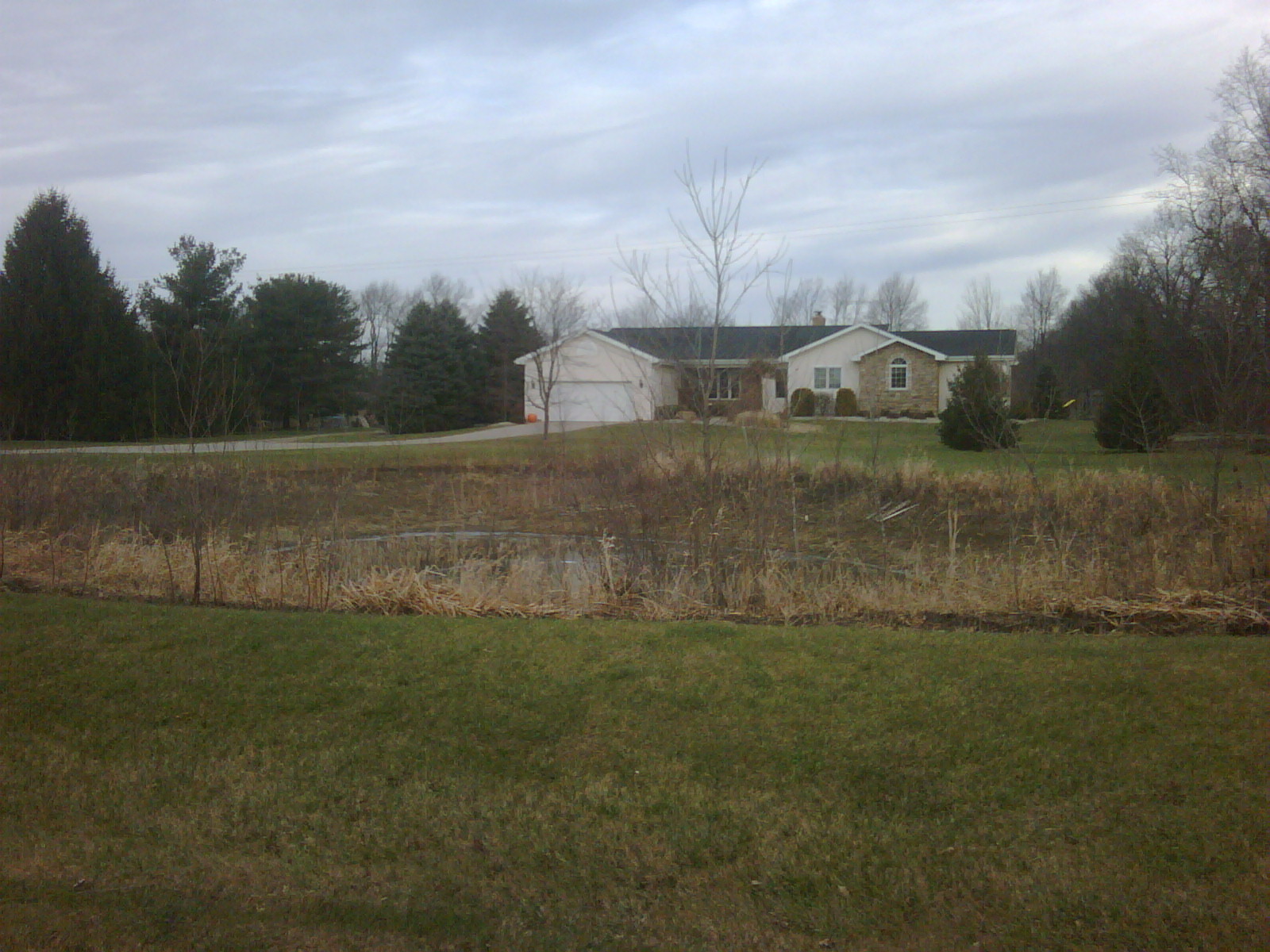 C Users Scott Pictures ponds a ponds 2010 williamston 2 williamston pond 2 (4)