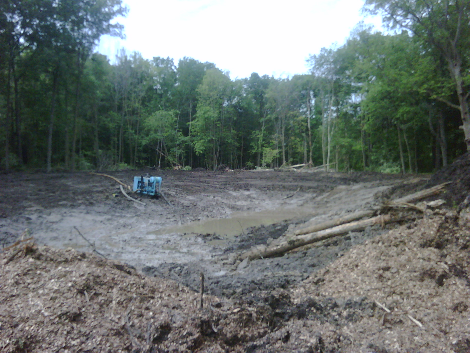 C Users Scott Pictures ponds a ponds 2011 ann arbor mikee pond 1 ann arbor pond 1 (15)