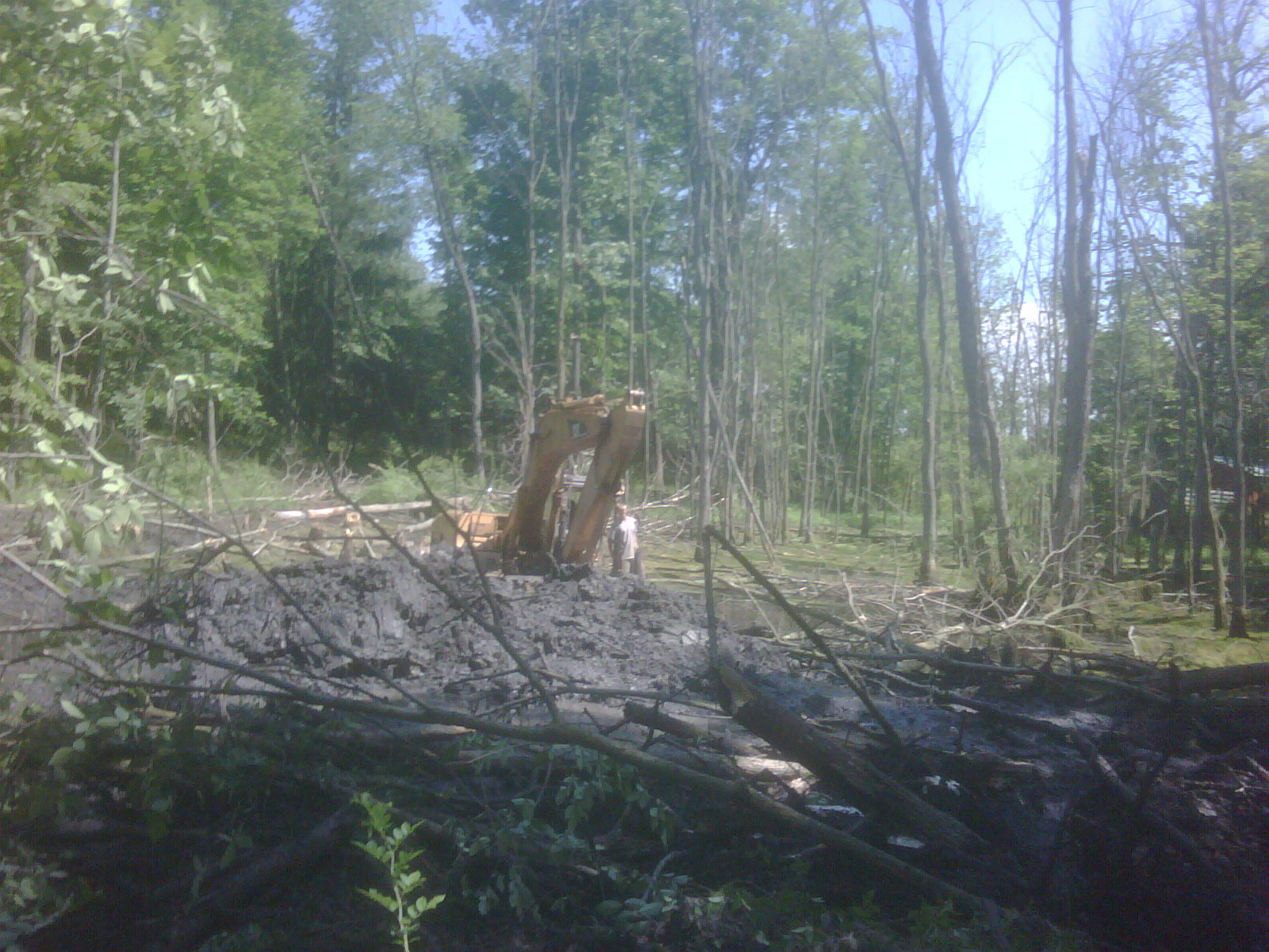 C Users Scott Pictures ponds a ponds 2011 ann arbor mikee pond 1 ann arbor pond 1 (19)