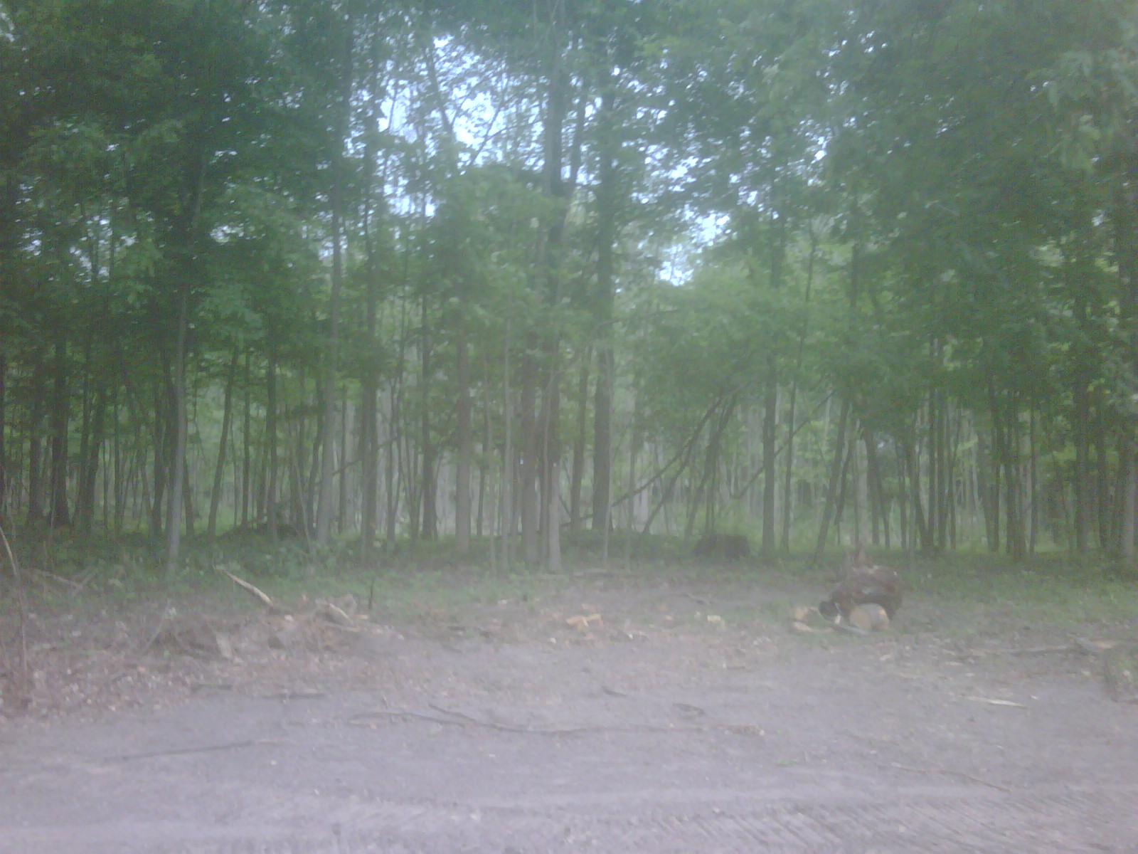 C Users Scott Pictures ponds a ponds 2011 ann arbor mikee pond 1 ann arbor pond 1 (46)