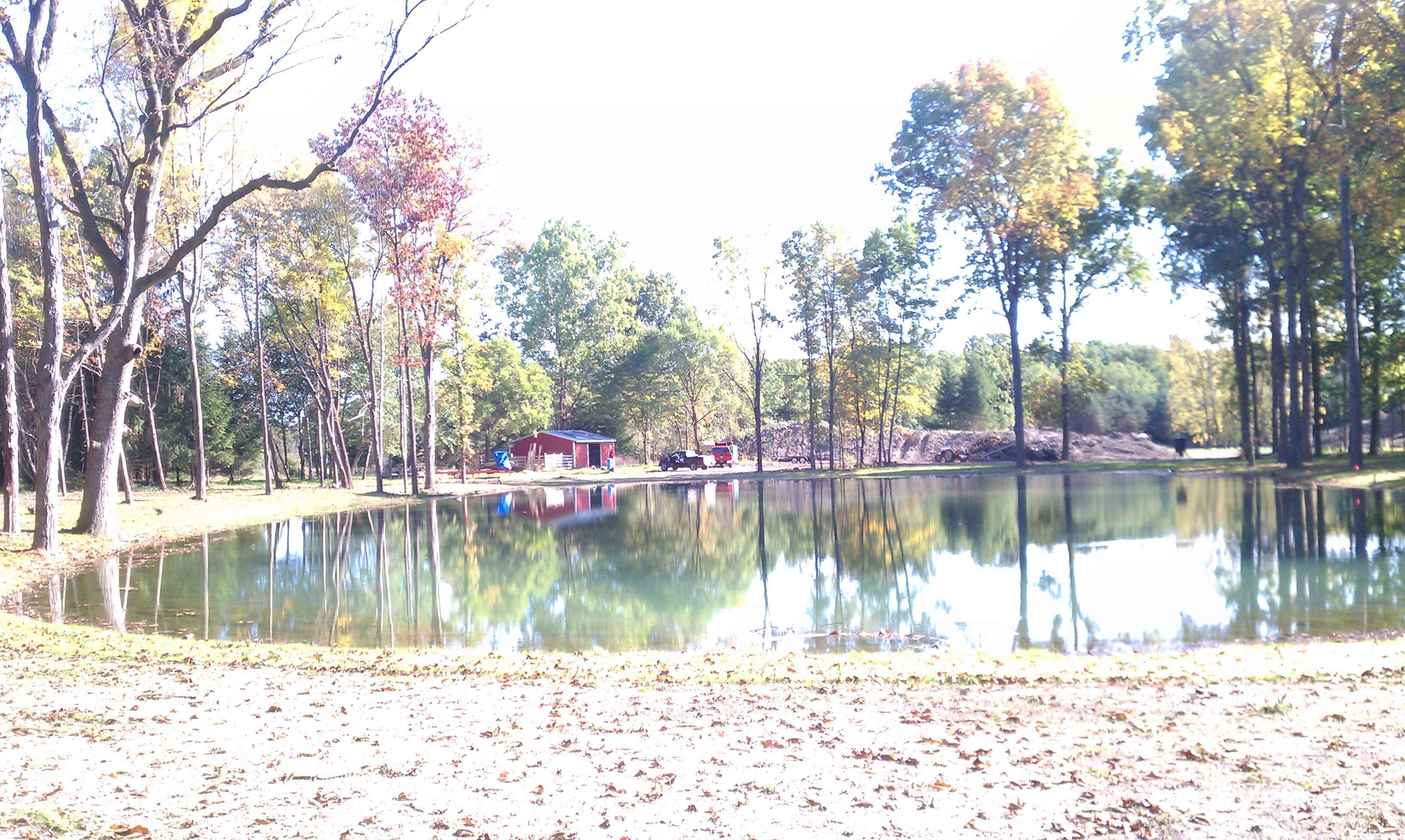 C Users Scott Pictures ponds a ponds 2011 ann arbor mikee pond 1 ann arbor pond 1 (8)