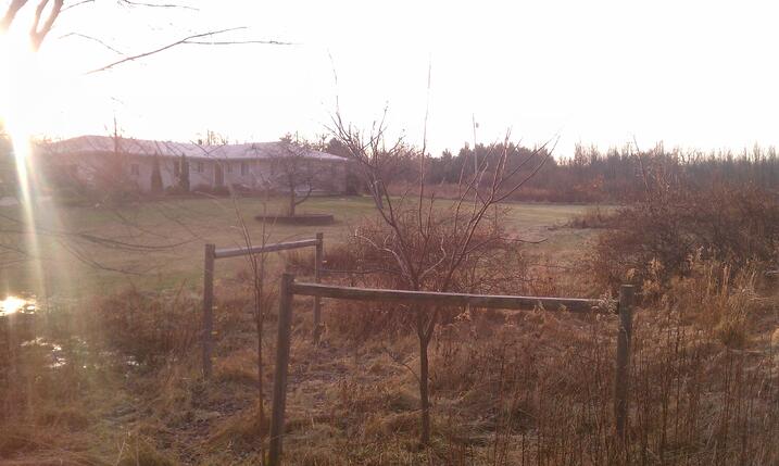 IMAG0572