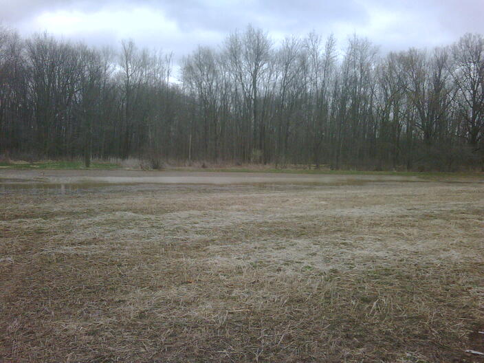 IMG00274 20110420 1135