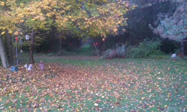 C Users Scott Pictures ponds a ponds 2011 ann arbor pond lake dig pond lake ann arbor mi (3) resized 600