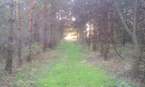 C Users Scott Pictures ponds a ponds 2011 ann arbor pond lake dig pond lake ann arbor mi (5) resized 600