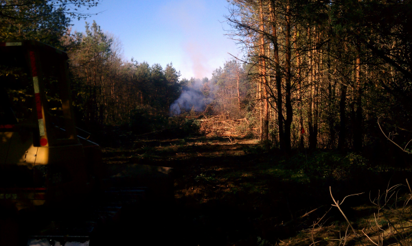 C Users Scott Pictures ponds a ponds 2011 ann arbor pond lake dig pond lake ann arbor mi (10) resized 600