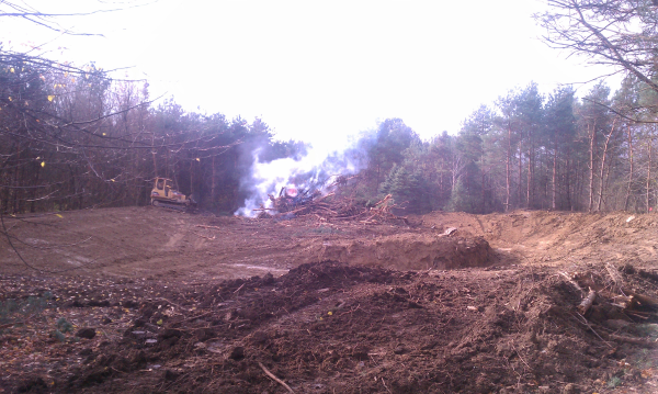 C Users Scott Pictures ponds a ponds 2011 ann arbor pond lake dig pond lake ann arbor mi (13) resized 600
