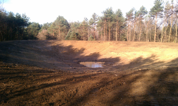 C Users Scott Pictures ponds a ponds 2011 ann arbor pond lake dig pond lake ann arbor mi (22) resized 600