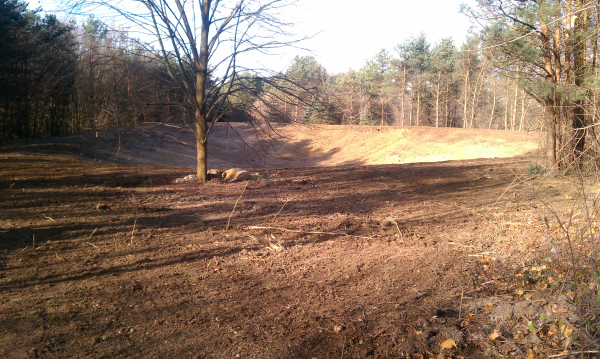 C Users Scott Pictures ponds a ponds 2011 ann arbor pond lake dig pond lake ann arbor mi (25) resized 600