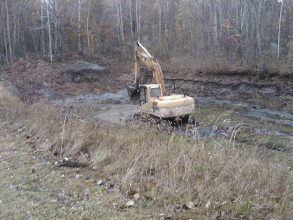 C  Users Scott Pictures ponds a ponds 2011 birch run clean out lansing N 2011 birchrun clean out lansing 2011 N resized 600