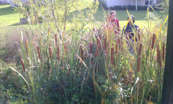  Michigan pond services Bloomfield Hills (3) resized 600