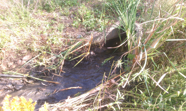  Michigan pond services Bloomfield Hills (6) resized 600