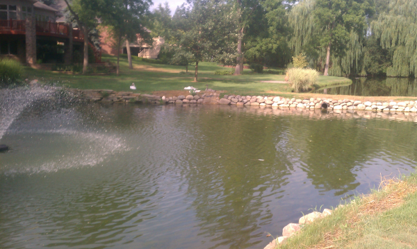  Saline, Michigan Boulder wall around pond install  Washtenaw County (23) resized 600