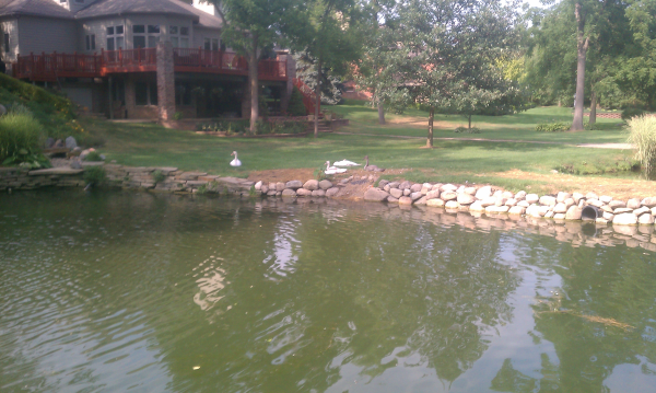  Saline, Michigan Boulder wall around pond install  Washtenaw County (24) resized 600