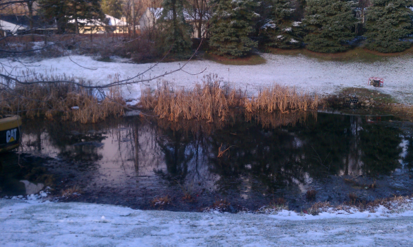 novi HMA pond N (3) resized 600