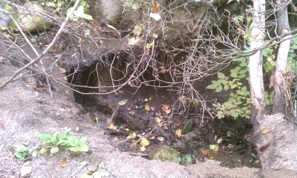 (N) Huron Farms pond fail Dexter. MI (4) resized 600