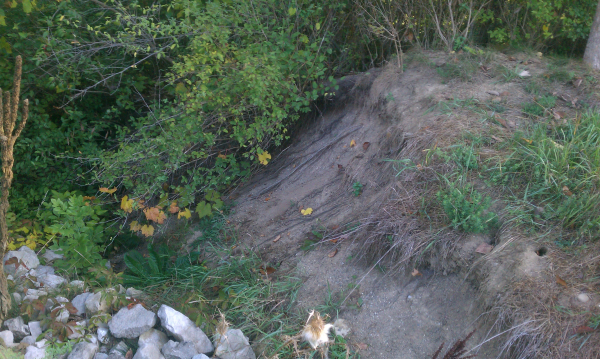 (N) Huron Farms pond fail Dexter. MI (18) resized 600