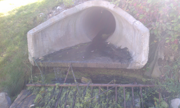 Dexter miantenance (34) resized 600