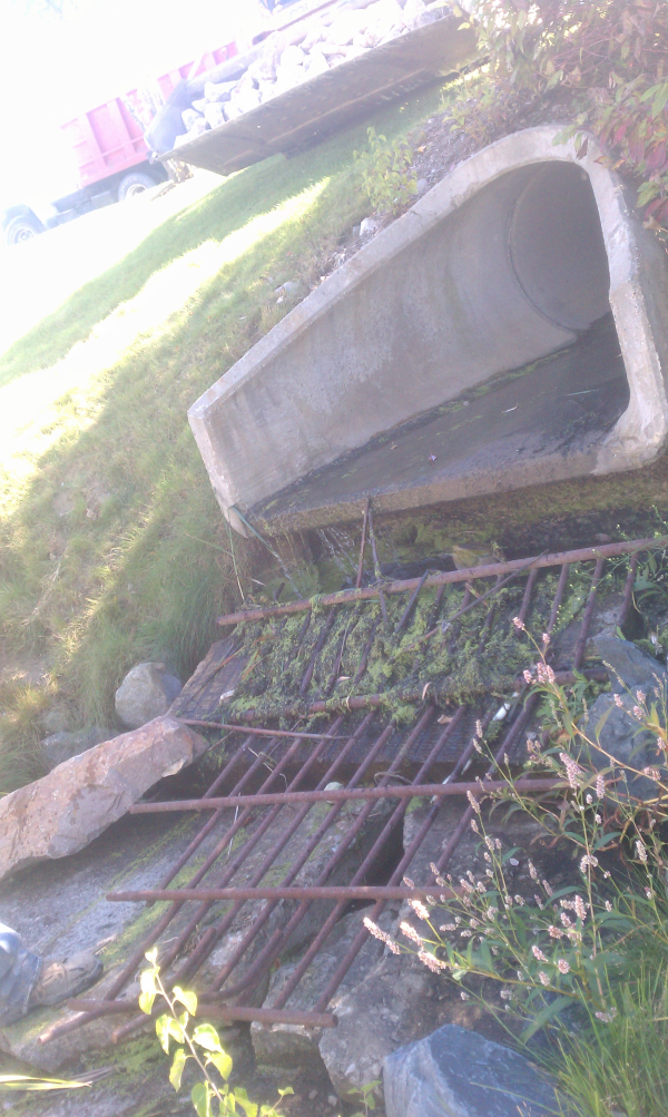 Detention pond repair Ann Arbor, MI (5) resized 600