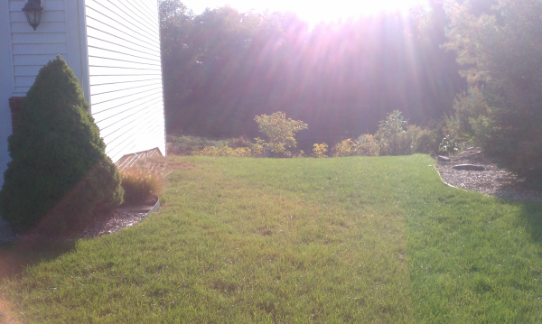 (N) Huron Farms pond fail Dexter. MI (8) resized 600