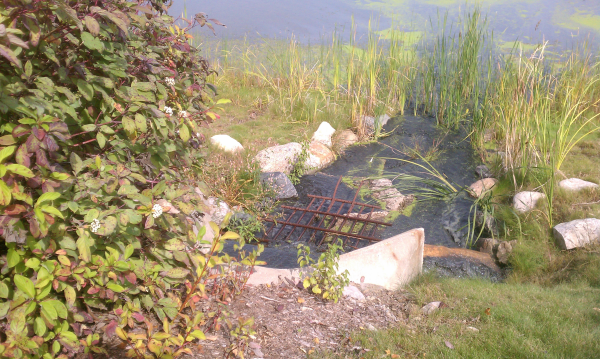 Detention pond repair Ann Arbor, MI (2) resized 600