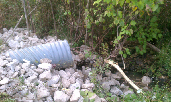 Dexter miantenance (120) resized 600