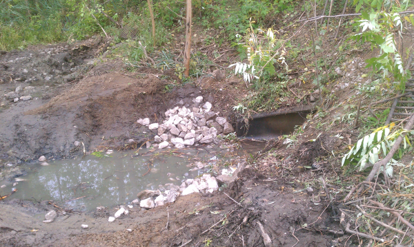 (N Ann Arbor) Michigan home owner assoc pond (15) resized 600