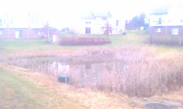 Farmington Hills pond condo dredge (N MICHIGAN IRRIGATION REPAIR FRANKLIN, MI) resized 600