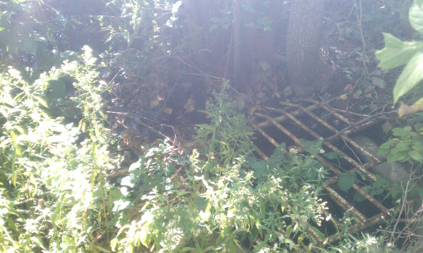 (N Ann Arbor) Michigan home owner assoc pond (9) resized 600