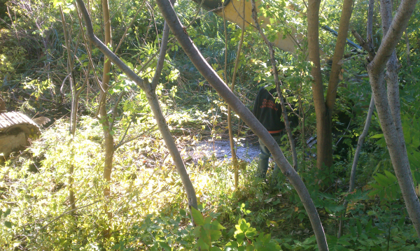 (N Ann Arbor) Michigan home owner assoc pond (11) resized 600