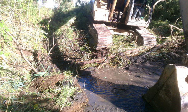 (N Ann Arbor) Michigan home owner assoc pond (13) resized 600