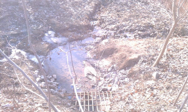 (N Ann Arbor) Michigan home owner assoc pond (17) resized 600