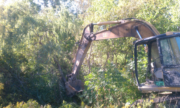 (N Ann Arbor) Michigan home owner assoc pond (4) resized 600