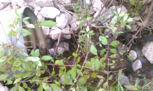 Dexter miantenance (119) resized 600