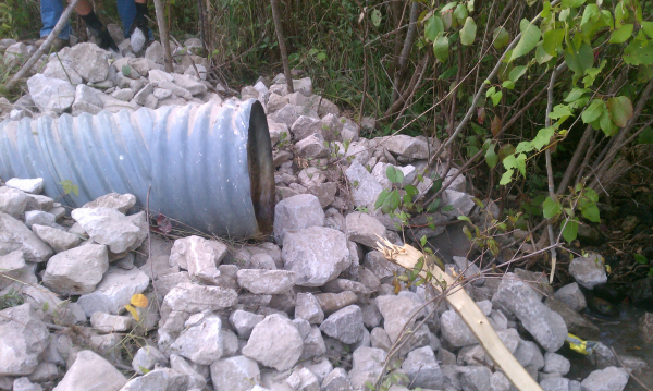 Dexter miantenance (122) resized 600