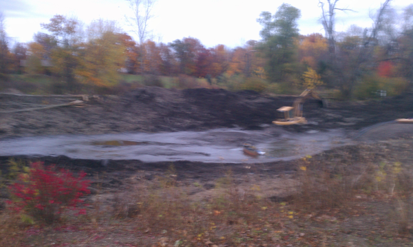 Fenton michigan pond renovation Genesee county (14) resized 600