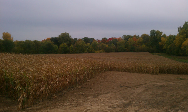 Frankenmuth new pond (N mid Michigan Pond building Frankenmuth) (2) resized 600