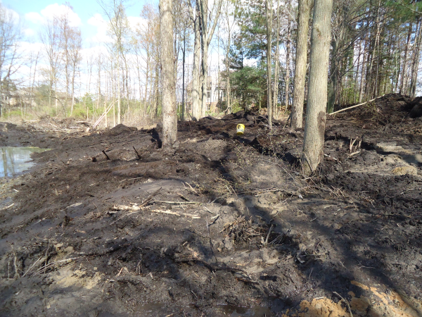 Lapeer (N) Mdeq pond permit help Michigan wetlands  (29) resized 600