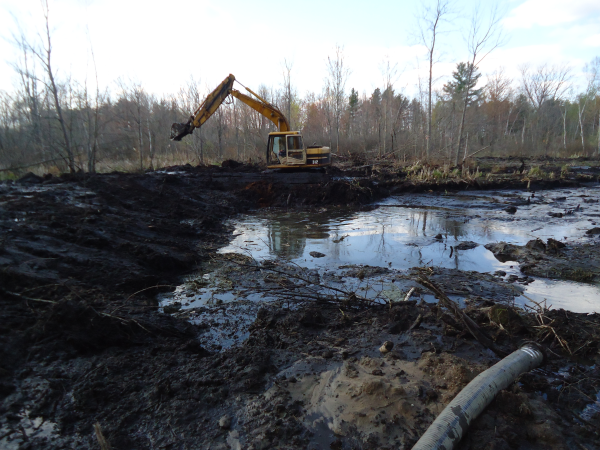 Lapeer (N) Mdeq pond permit help Michigan wetlands  (89) resized 600