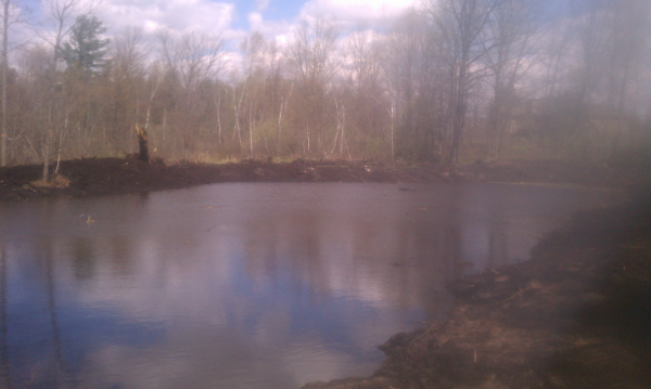 Lapeer (N) Mdeq pond permit help Michigan wetlands  (119) resized 600