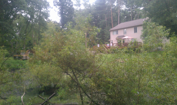 Fenton(N) Michigan wetland pond Genesee county resized 600