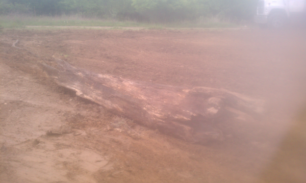 Dexter pond new (N Washtenaw county pond builder, construction, build a pond) (19) resized 600