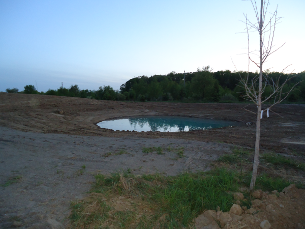 Dexter pond new (N Washtenaw county pond builder, construction, build a pond) (30) resized 600