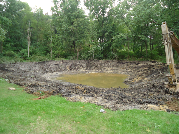 Fenton(N)  Michigan wetland pond Genesee county (8) resized 600