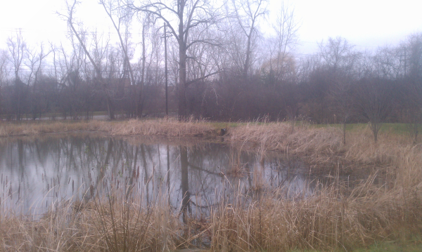 farmington hills  (N) halsted commons (Michigan inlet outlet repair) (13) resized 600